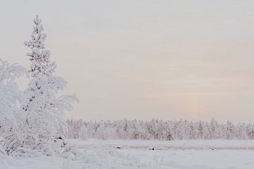 Bevroren winterlandschap van de natuur in Zweeds Lapland van sonja koning