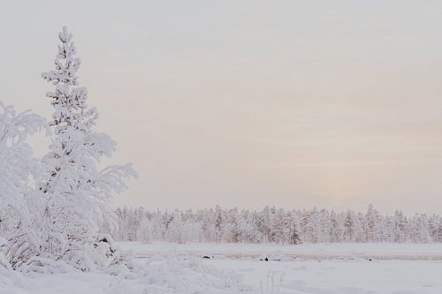Frozen winter landscape of nature in Swedish Lapland