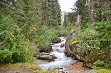 Waterval in de rocky mountains van Marcel Schouten