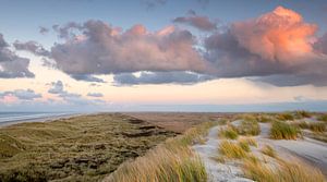 De Boschplaat Terschelling van Wad of Wonders