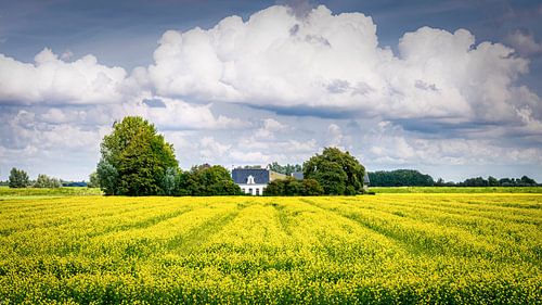 huis in lijnzaadveld
