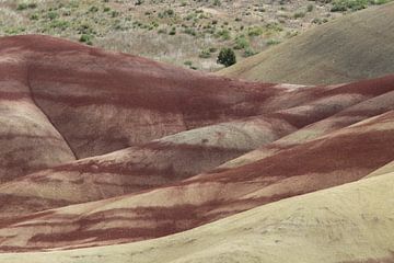 Painted Hills in the John Day Fossil Beds National Monument at Mitchell City, Wheeler County, Northe by Frank Fichtmüller