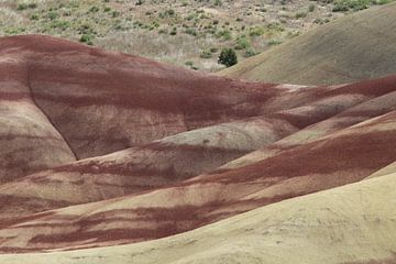 Beschilderde heuvels in het John Day Fossil Beds National Monument bij Mitchell City, Wheeler County van Frank Fichtmüller