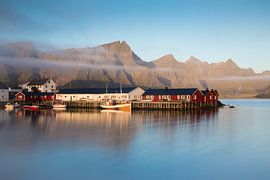 Hamnoy Harbour by Rudy De Maeyer