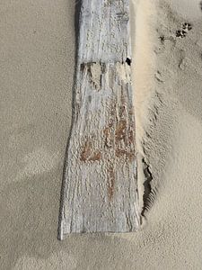 Suna - sand pattern De Koog Texel with dog feet
