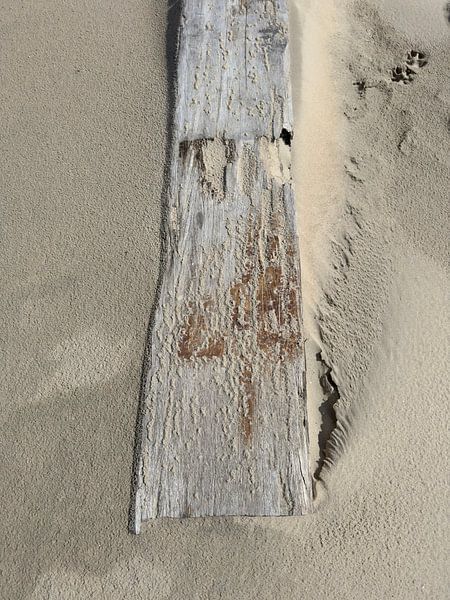 Suna - Sandmuster De Koog Texel mit Hundefüßen von Buro JEB ~ Studio NotARTificial