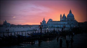 Venezia van Paolo Gant