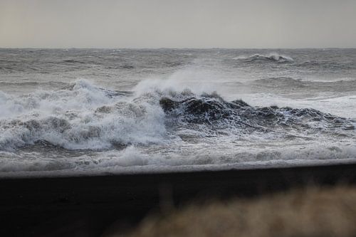 Raging sea near Vik i Myrdal in southern Iceland