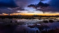 Enchanted landscape