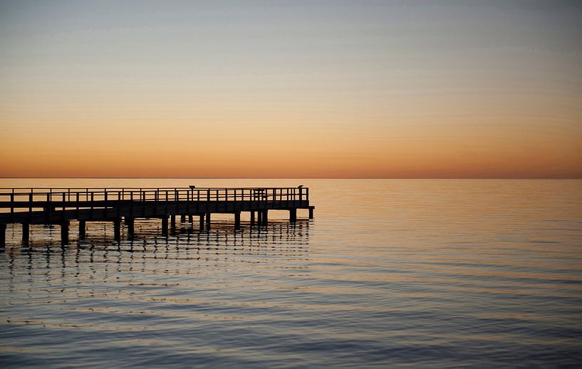 Hamelin Bay, Australie occidentale par Hilke Maunder