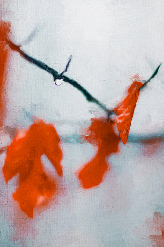 Herfstbladeren aan een tak met waterdruppels - digitale schilderkunst