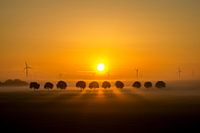 Lever de soleil dans le polder.