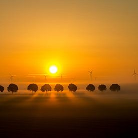 Zonsopgang in de polder. van Vincent Snoek