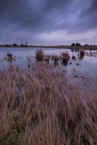Braakhuizense Heide 12