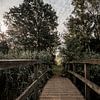 Brücke in natürlicher Ruhe Stimmungsvolle Landschaft von Femke Ketelaar