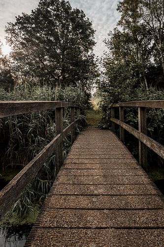 Brug in Natuurlijke Rust Sfeervol Landschap