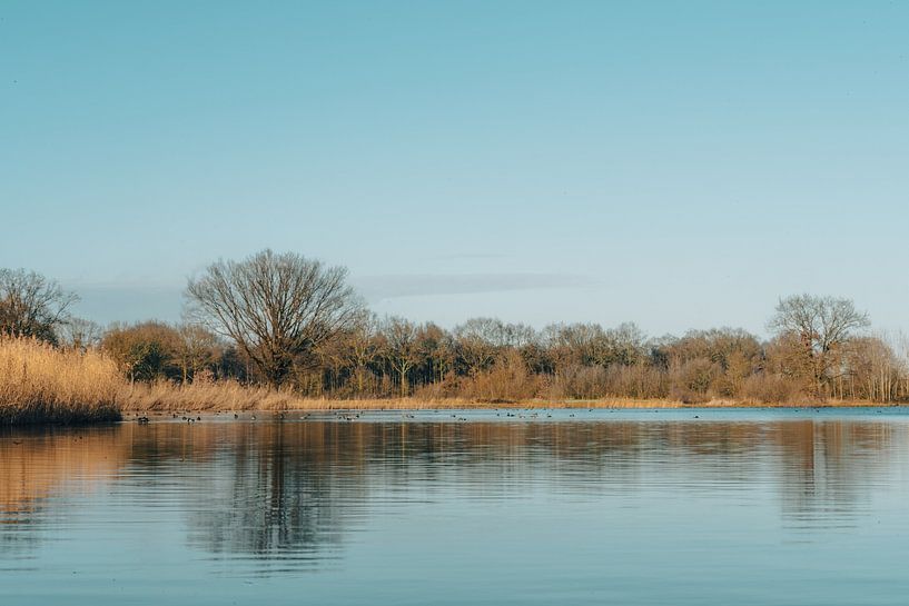 Naturschutzgebiet Oeffelt von Marc van den Elzen