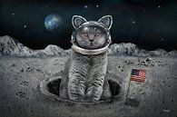 De kat op de maan van Stefan teddynash thumbnail