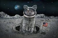 Die Katze auf dem Mond