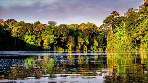 Paloemeu (sometimes spelled Palumeu) is an indigenous village .