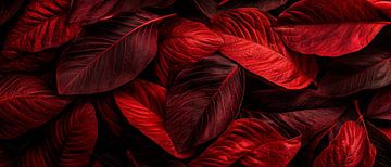 Red-black leaves - close-up by Poster Art Shop
