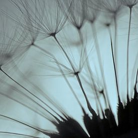 Ma façon de faire sur Carla Mesken-Dijkhoff