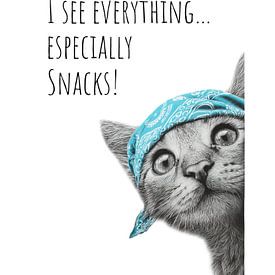 Chat cool - L'observateur sur Melanie Viola