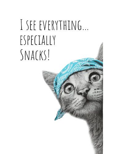 Coole kat - De waarnemer