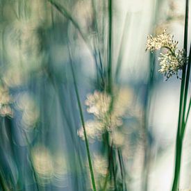 Riet sur Carla Vermeend