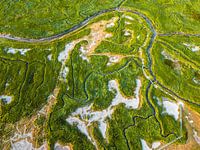 Ertrunkenes Land von Saeftinghe Drone