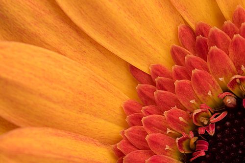 Een klein stukje uit de natuur