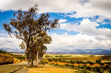 Country road with clouds in the Sierra Alhamilla in Andalusia Spain by Dieter Walther