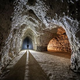 Jeroen Van Boekel Profile picture