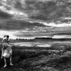 'Wuthering Heights'  van Studio Nooks