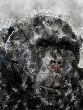 chimpansee van Printed Artings