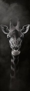 Giraffe van Poster Art Shop
