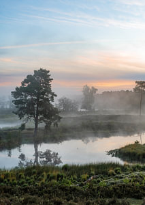 Hatertse en Overasseltse vennen part 19