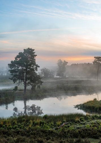 Hatertse en Overasseltse vennen part 19