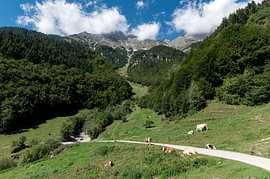 Wandern in der Nordkette von Richard Wareham