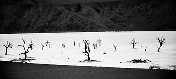 Bäume im Sossusvlei von Peter Relyveld