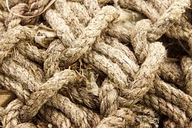 Onlosmakelijk verbonden van Ria Overbeeke