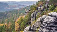 Rotsen en bossen in Sächsische Schweiz, Duitsland van Jessica Lokker thumbnail
