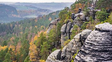 Rotsen en bossen in Sächsische Schweiz, Duitsland