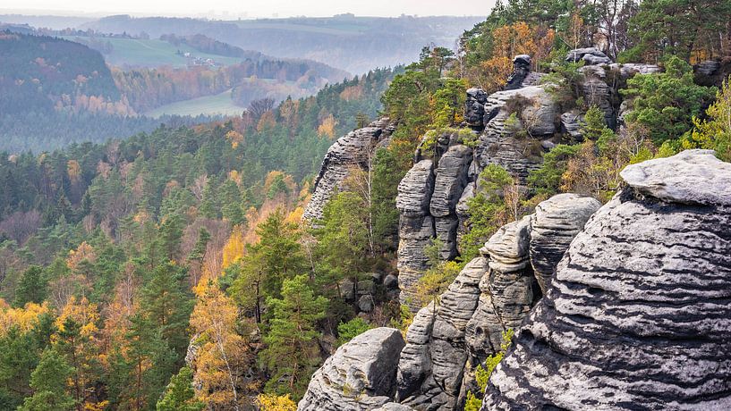 Felsen und Wälder in der Sächsischen Schweiz, Deutschland von Jessica Lokker