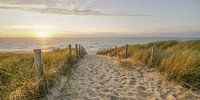 Sun, sea and sand on the Dutch coast
