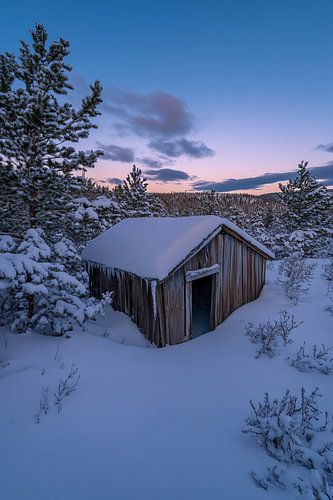 Verlaten hut in sneeuwlandschap