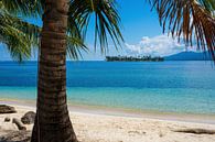 Tropische eilanden in Panama (San Blas) van Michiel Dros thumbnail