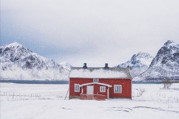 Snowflakes swirl around the lonely red house