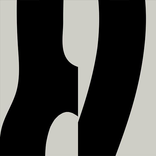 Zwarte Abstracte Organische Geometrische Vormen nr. 10