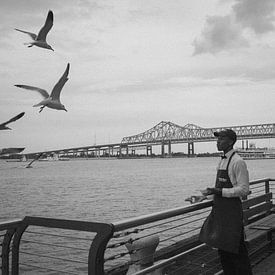 Vögel an der Uferpromenade von Gijs Wilbers
